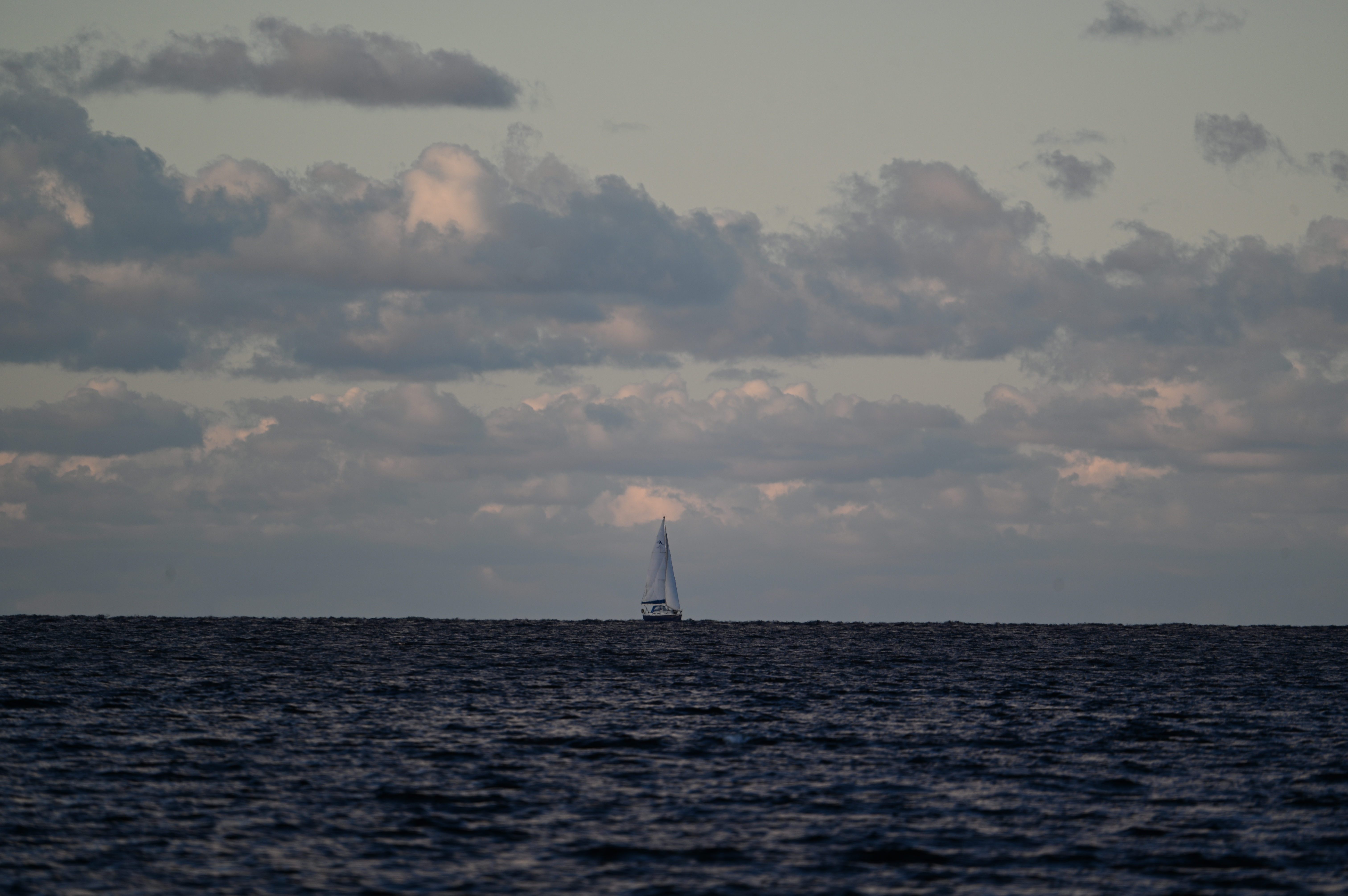 2025/10/18 - walk/DSC_0240.JPG